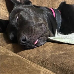 Meet your Posher, Faith